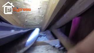 Bat Control Service | Spring Tx | Cypress Critters and Pests