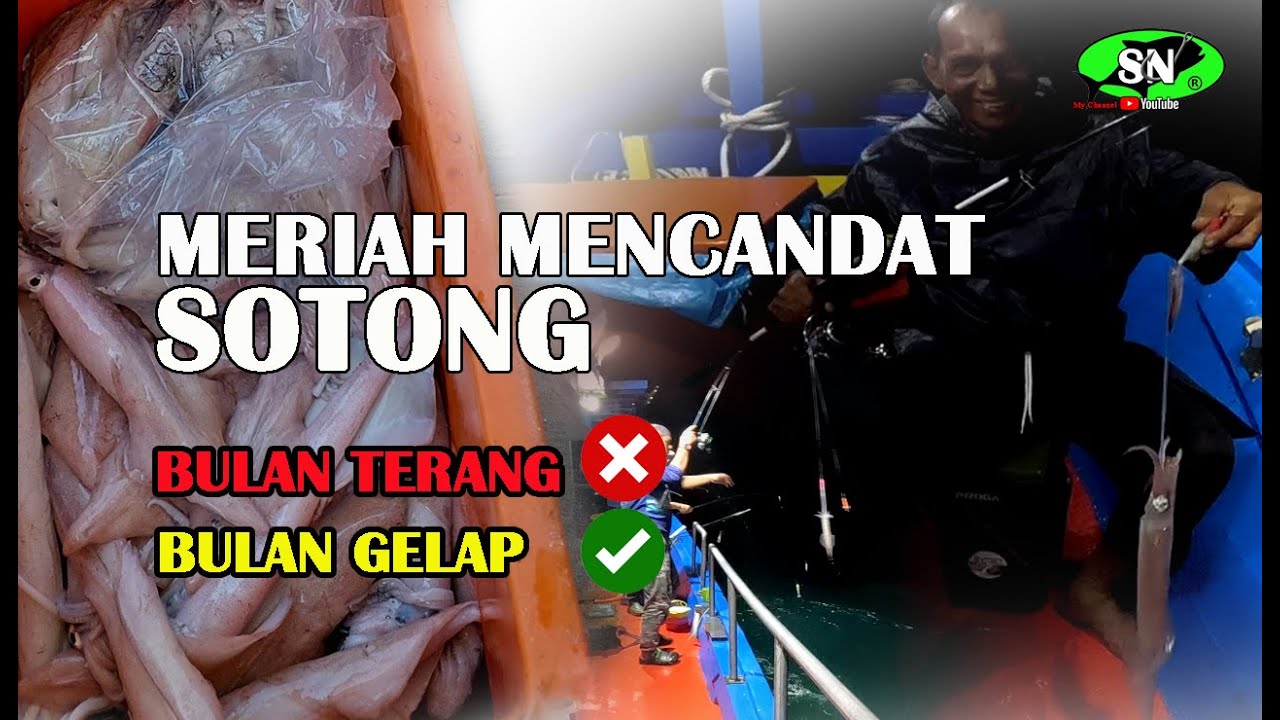 CANDAT SOTONG 🦑 Meriah mencandat sotong di bulan gelap