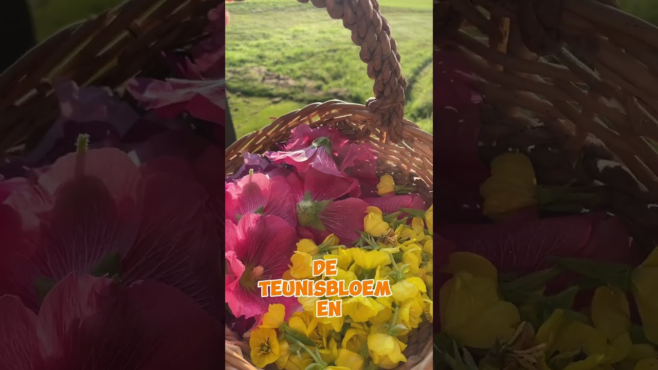 Ik ga op pad en vul mijn mand met 