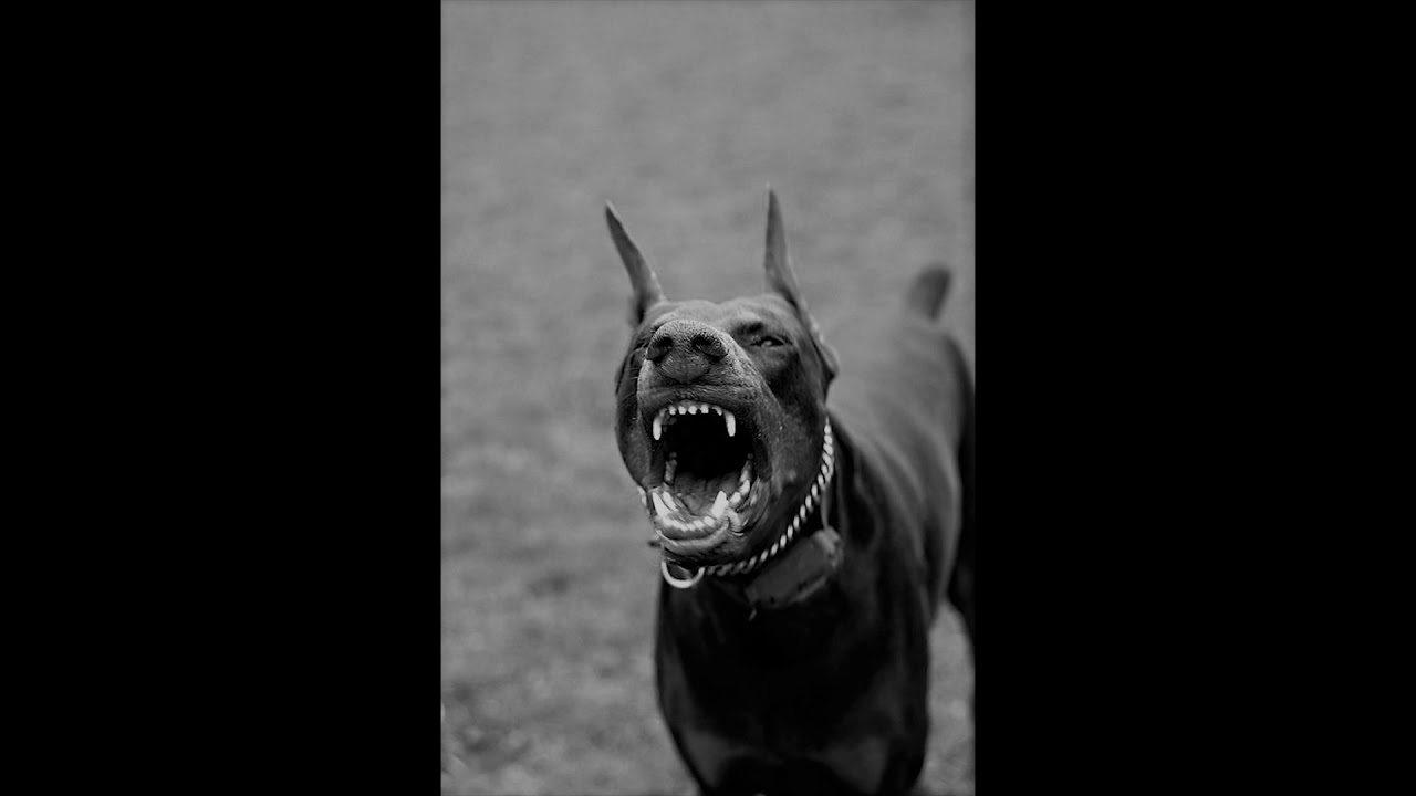 [FREE] JONNY5 x PISLIK88 Type Beat - "STICKY" (prod. @mdjot169) 🍭