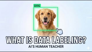 What is Data Labeling? | The Secret Ingredient for Smart AI