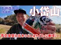 【日帰り登山】 熊本県の小岱山　さすがは九州百名山！　標高500Mの低山だけど展望も森の雰囲気もサイコーな山でした。　2023.11.19