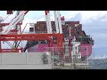 【12/15速報!!】ONE APUSコンテナ撤去作業開始!!【コンテナ船】