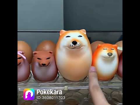 ブルーダイアリー 歌ってみた（姉が歌った）