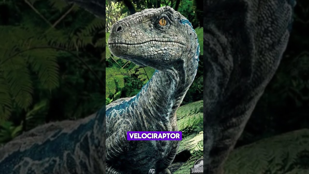 EXTINCT animals caught on CAMERA. 👀 