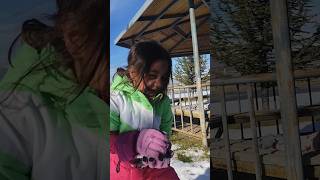 Ağlattın Çocuğu Şfet Şfetbeniöneçıkar