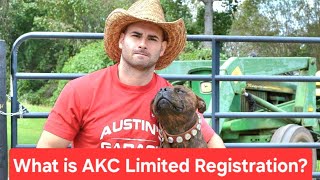 Limited AKC Registration Why What's it for What is it
