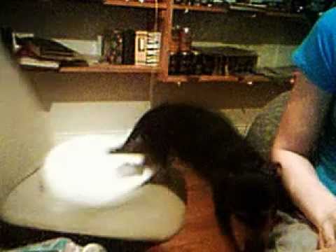KittyLixo Leak: A Scandal Of Epic Proportions