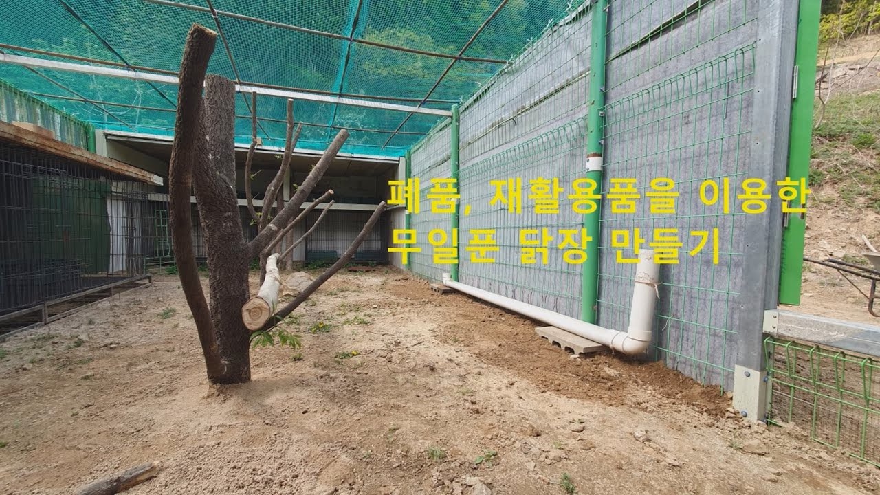 닭장 만들기(폐품, 재활용품을 이용한 무일푼 닭장 만들기) - YouTube