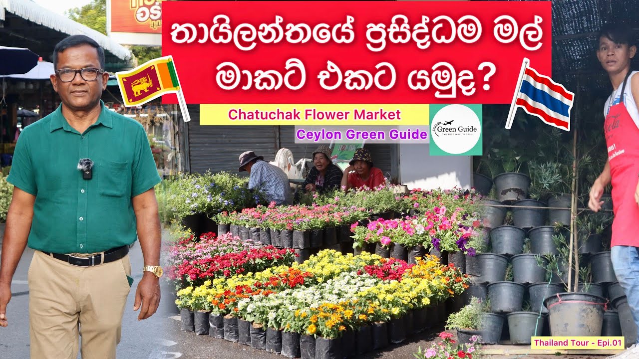 සිලෝන් ඇග්‍රි එක්ක තායිලන්තෙ යමුද? චතුතාක් මල් වෙලඳපොල | Chatuchak Flower Market|Ceylon Agri|Epi.419