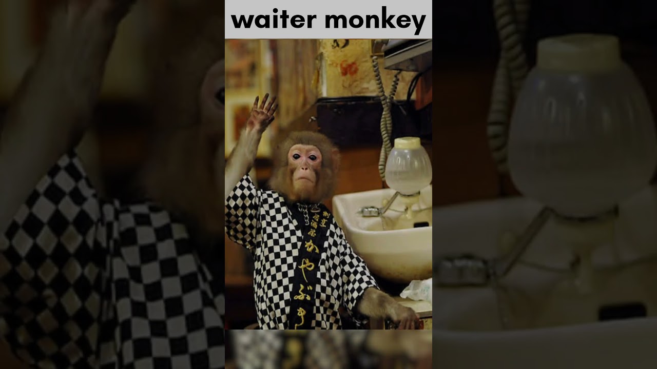 Waiter monkey in japan restaurant|Topic Ready|Tamil 