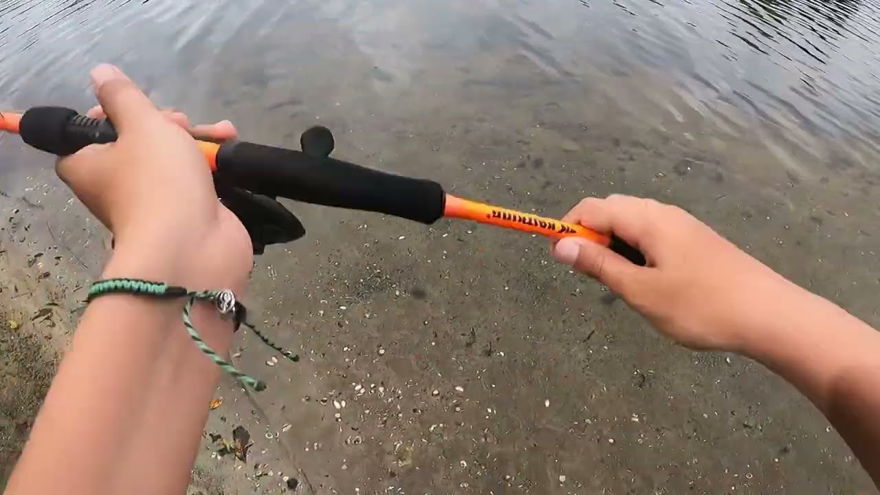 Bass #fishing #gooutside #fun #funny #topwater #topwatereat