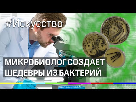 Микробиолог создает художественные шедевры из опасных бактерий и уже нарисовал портрет Юрия Гагарина