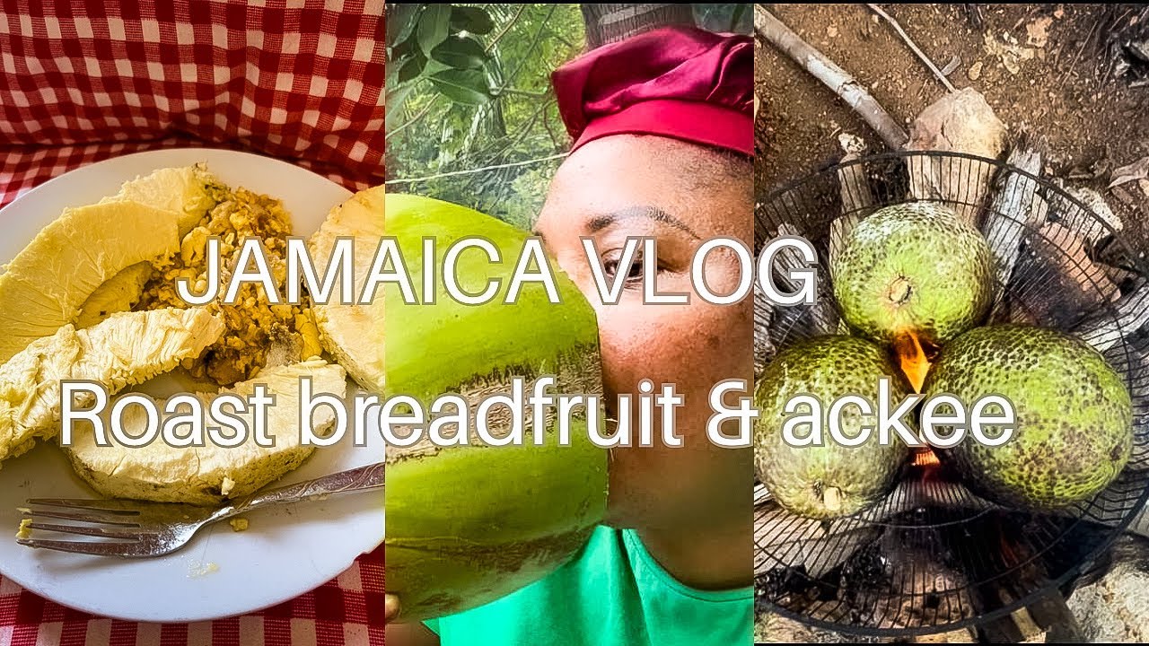 Relaxing Sunday Mornings Roast Breadfruit Ackee & Saltfish Jamaica