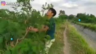 Story wa viral gusti salah ku opo