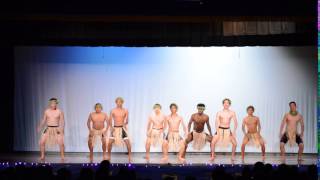 Multi 2016 - Hawaiian Boys