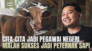 Tinggalkan Mimpi Kerja Kantoran, Lulusan Sarjana Pilih Jadi Peternak Sapi