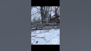 LOG LOADER ACTION! Watch the full video and many more