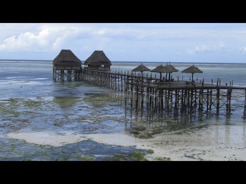 Vídeo: 5 Razones Para Hacer Un Regalo: La Cultura Zawadi En Zanzíbar - Matador Network