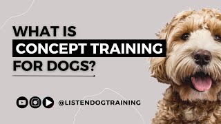 What Is Concept Training For Dogs The Positive Dog Training Practice Explained