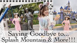 Saying goodbye to Splash Mountain | Disney Golden Vine Winery | Disneyland Vlog 9 by fashionstoryteller 435 views 8 months ago 12 minutes, 7 seconds