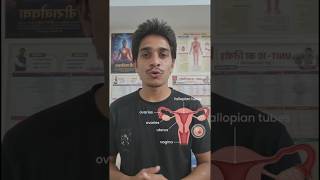 Female Reproductive System Explained Like a Story (NCERT Class 12 Biology)