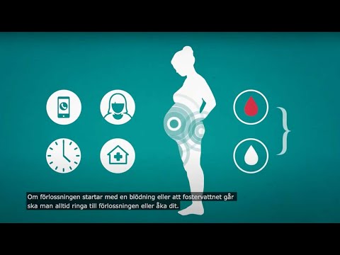 Video: Vad är definitionen av förlossning inom biologi?