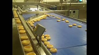 UBE ACCUMULATION CONVEYOR & LANING SYSTEM - ENGLISH MUFFINS