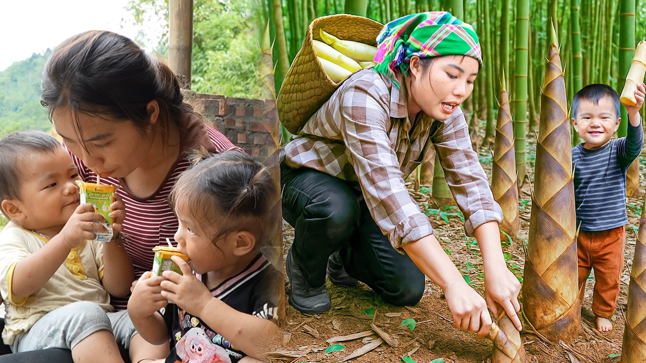 Harvesting giant bamboo shoots – Spicy pickled bamboo shoot making process with my kids Nhi & Khoi