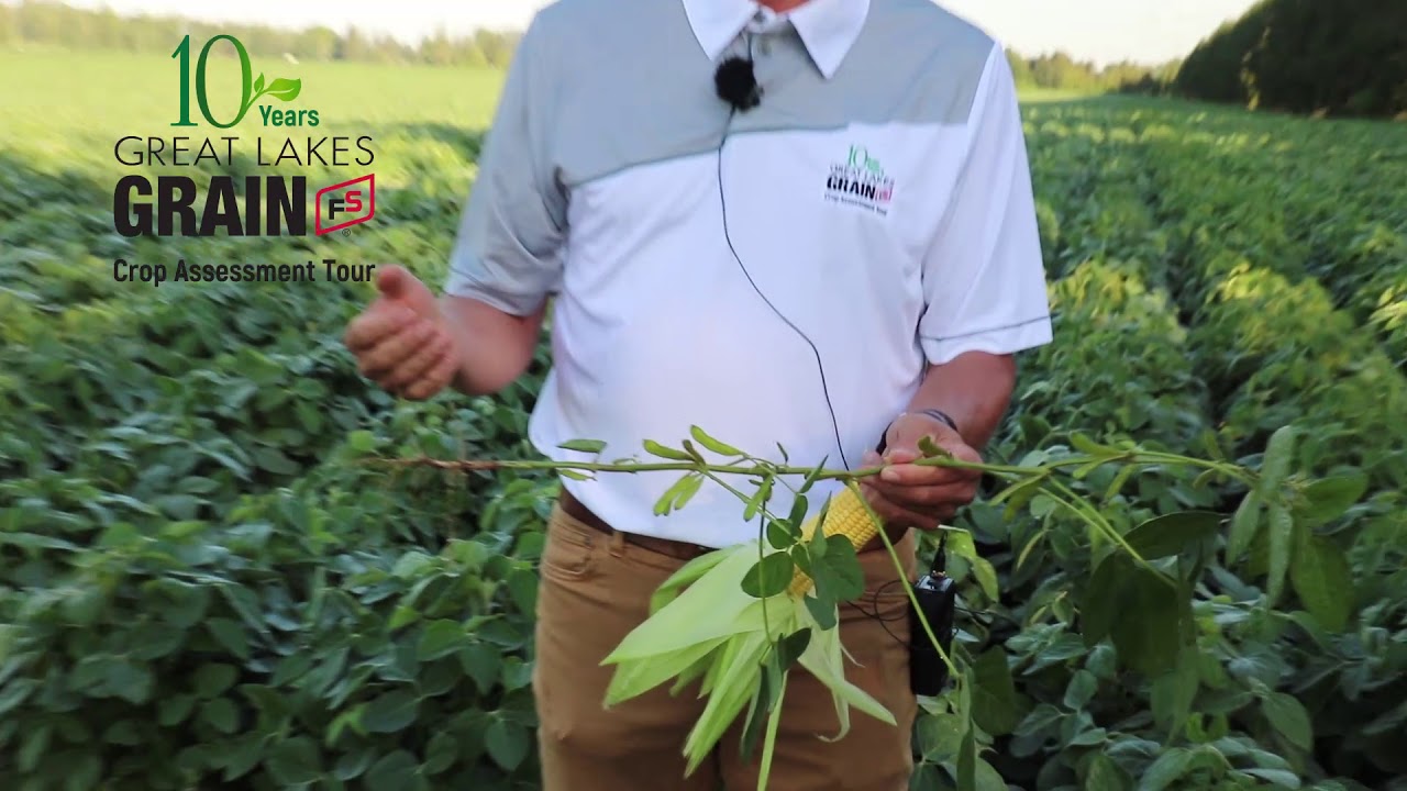 Great Lakes Grain 2019 Crop Assessment Tour YouTube