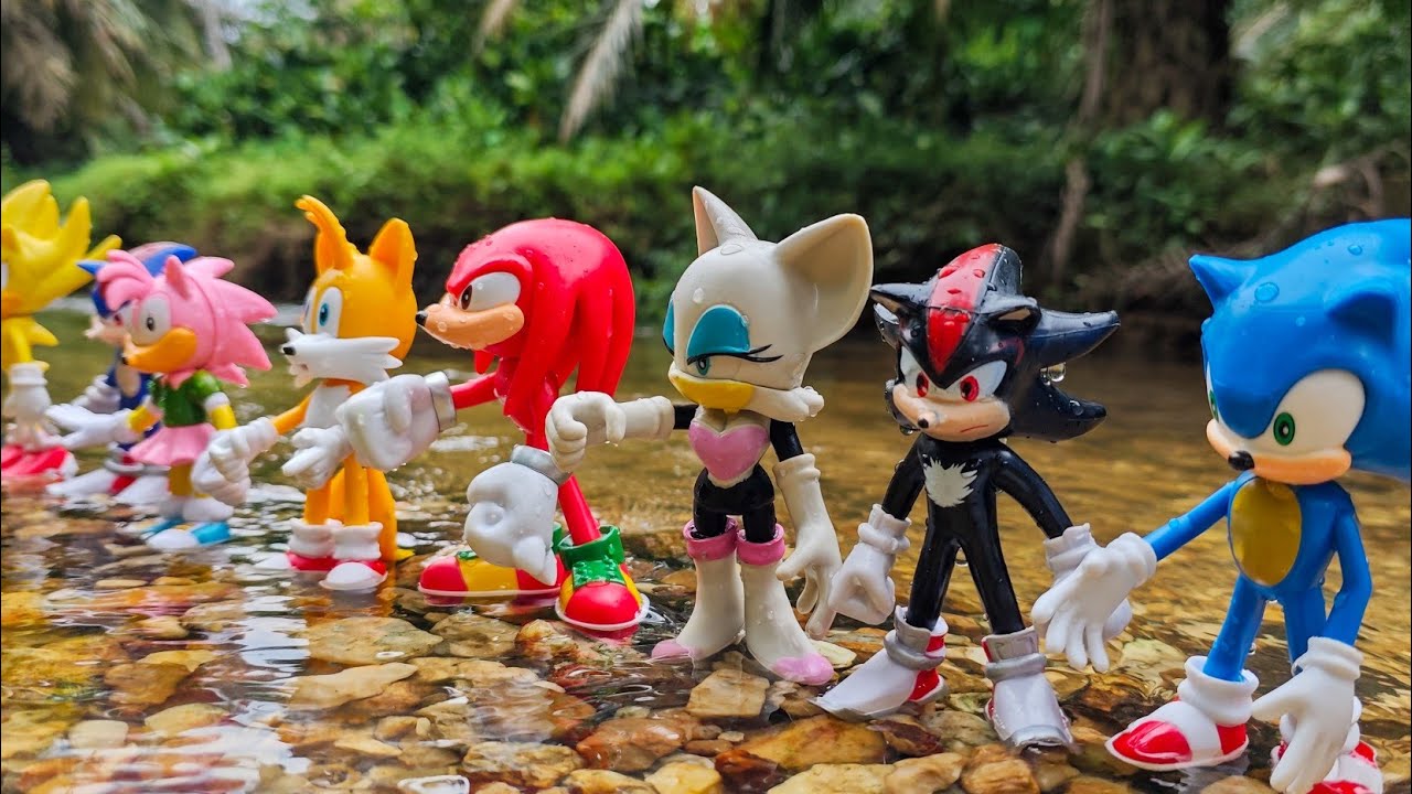 Hunting Sonic | Sonic Hedgehog | Knuckles | Tails | Super Sonic | Sonic Shadow | Metal Sonic | Amy