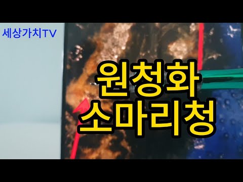 청화원