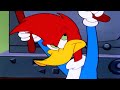 Woody Woodpecker Show | Getting Comfortable | Full Episode | Videos For Kids