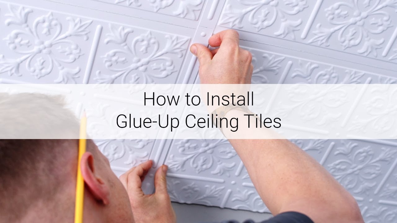 How To Install Glue Up Ceiling Tiles