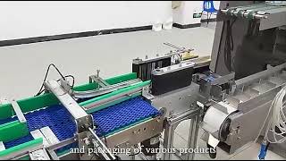 Horizontal Automatic Cartoning Machine with High Speed