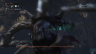 Bloodborne_   amigdala  dungeon