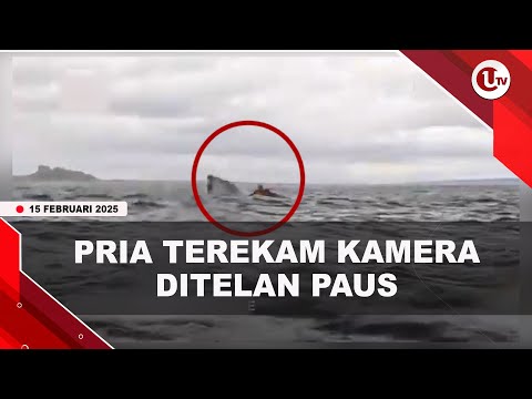 NGERI, PRIA INI DITELAN PAUS LALU DIMUNTAHKAN | U-NEWS
