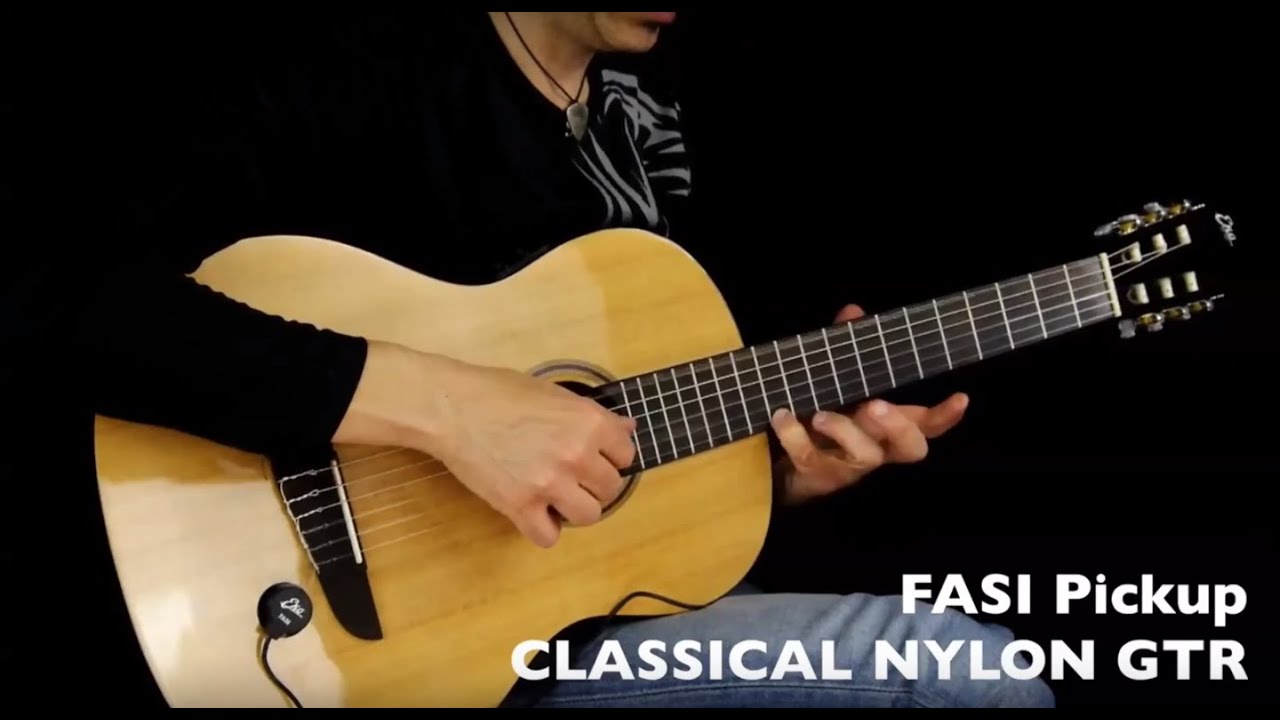 Eko Guitars - FASI Pickup a Ventosa For All Stringed Instruments