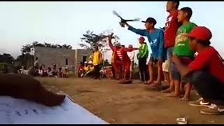 Kumpulan video lucu saat lomba burung merpati...Bikin ngakak