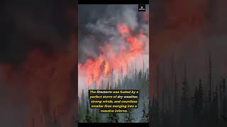 The Great Fire of 1910: America’s Largest Wildfire