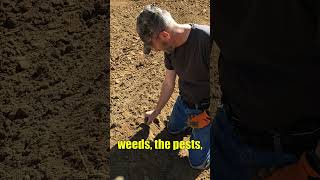 More Land Won’t Fix Your Garden Wealth