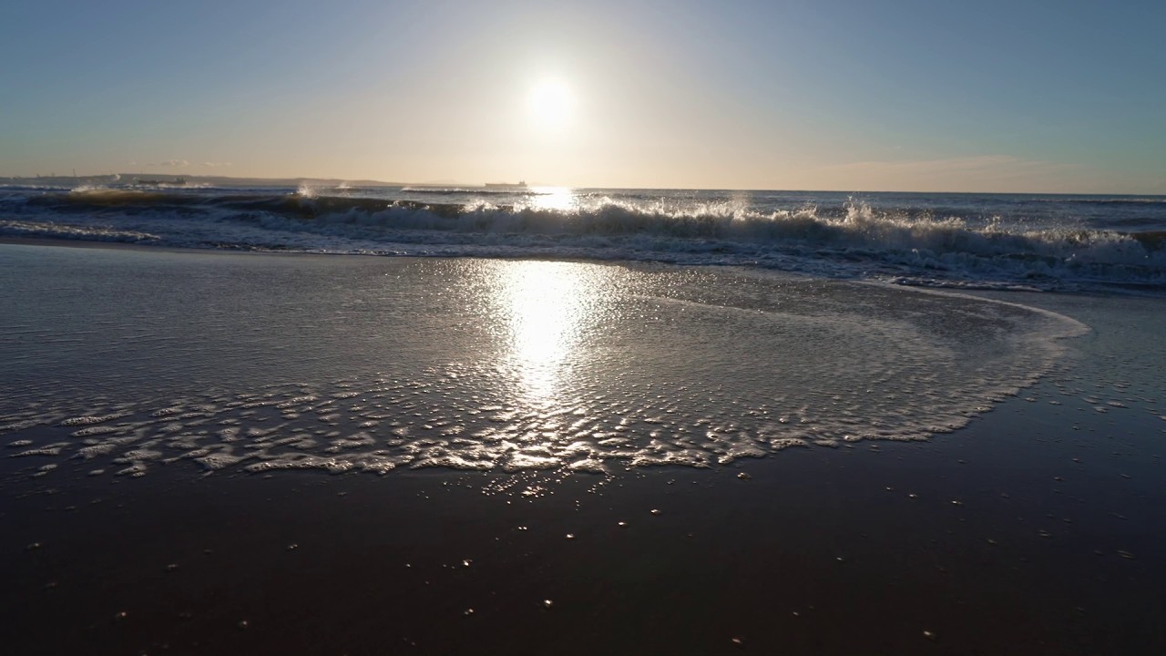 Le port de Marseille Fos lance l’étude “La Gracieuse, dune vivante”