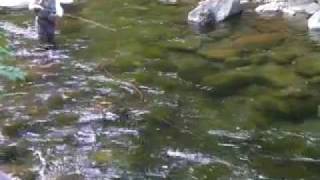 SANY0904.MP4