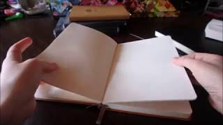 Review of Lemome notebooks for bullet journaling or sketching