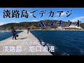 【釣り場動画#119】淡路島でタチウオとアジングを楽しめる洲本市の炬口漁港、エギングのアオリイカも穴場になっています
