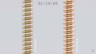 D'Addario Corrosion Resistance Test ｜ XS Vs Non-Coated Strings