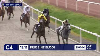 Vidéo de la course PMU PRIX SINT ELOOI