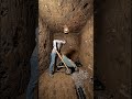 I Built a FALLOUT VAULT Under My Backyard !