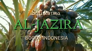 Download Lagu SARI KURMA AL-JAZIRA 2021 MP3