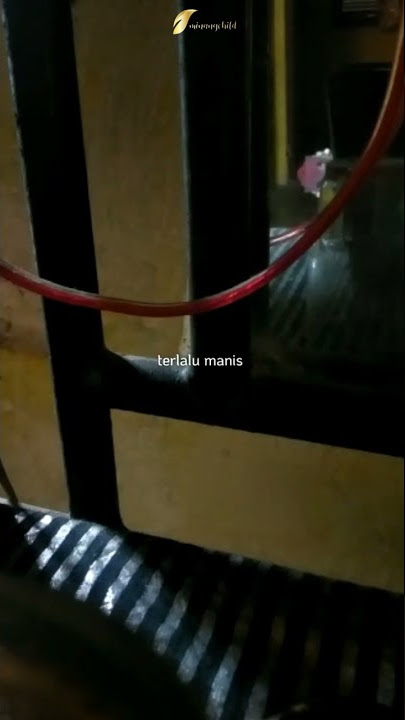 dimalam yang dingin dan gelap sepi